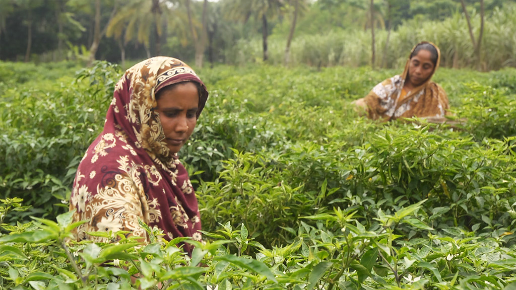 A new project puts women at the forefront of climate resilience in Bangladesh